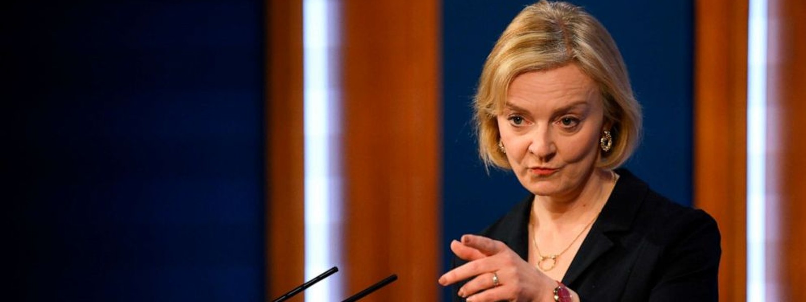 Liz Truss stands down from post of UK PM